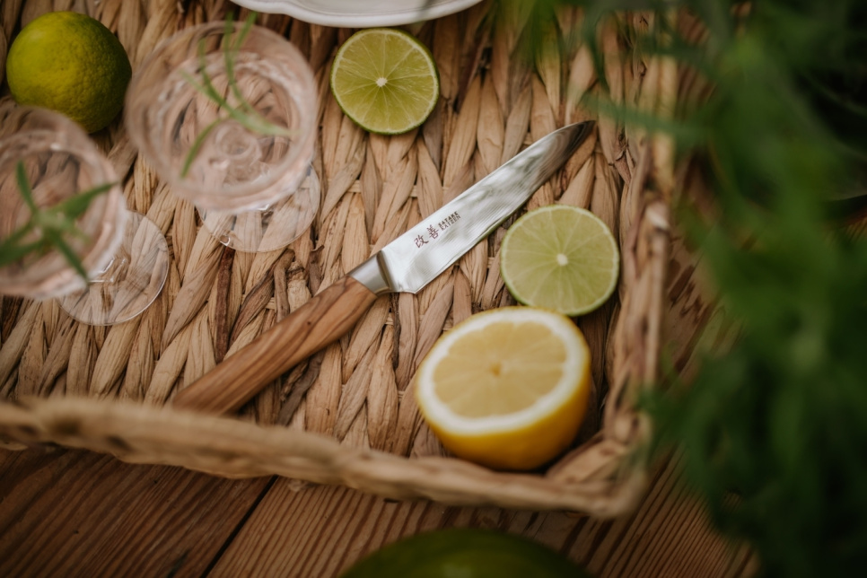 Petty-veitsi, 12 cm, Kaizen - Satake Petty-veitsi, 12 cm, Kaizen - Satake