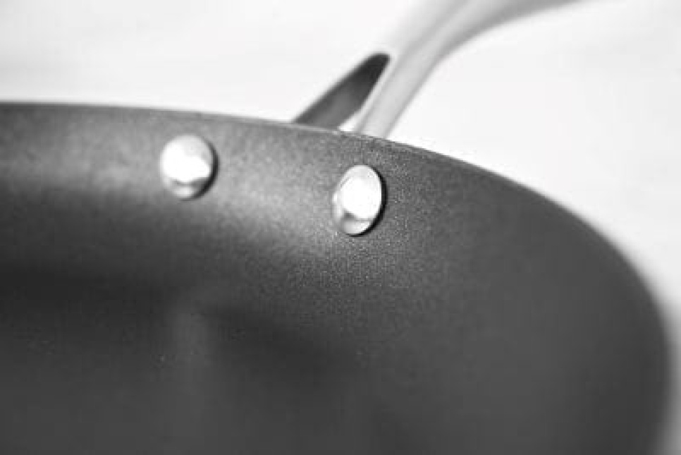 Pinnoitettu paistinpannu, Scanpan PRO IQ