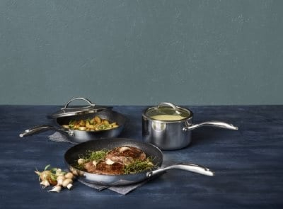 Paistokasari, HaptIQ - Scanpan