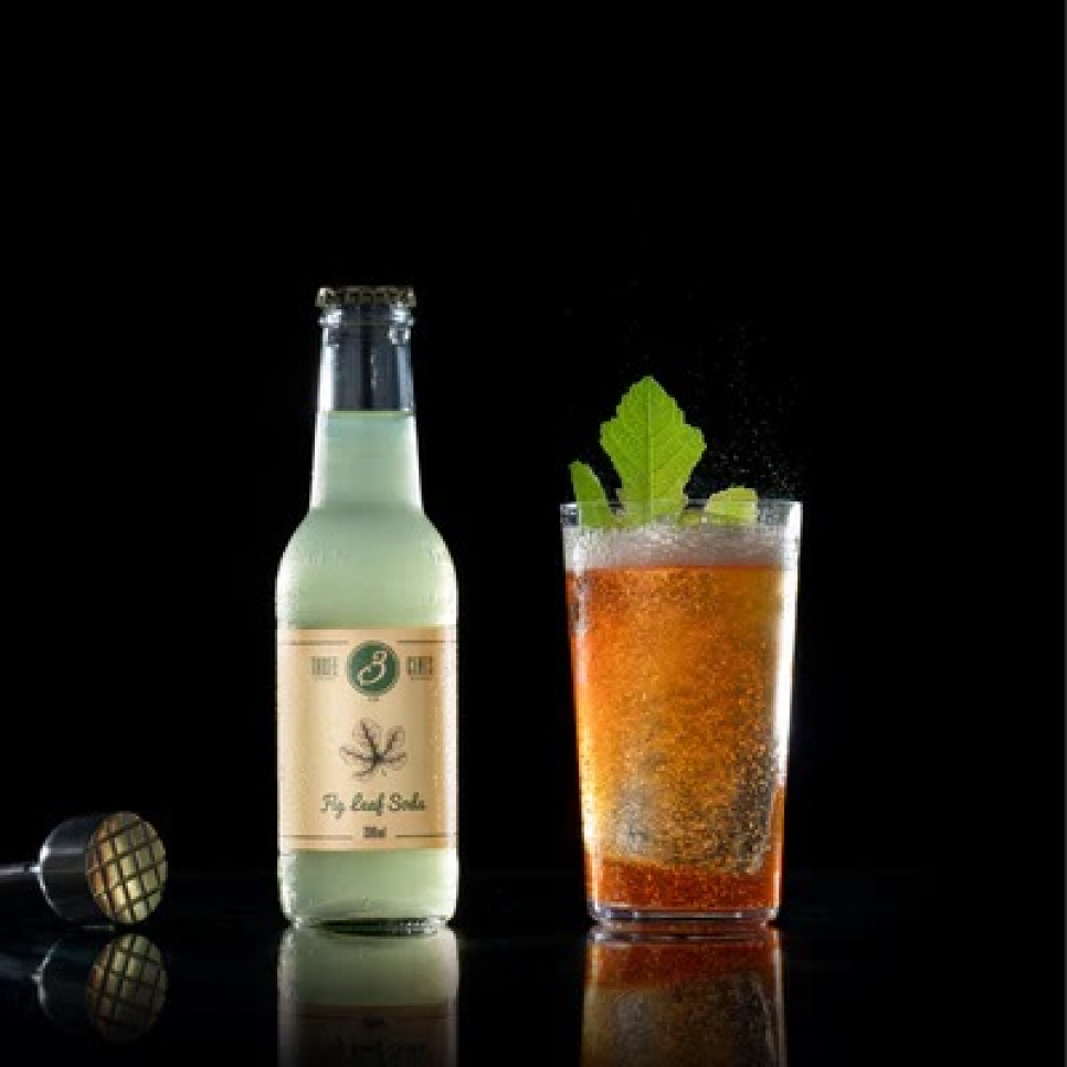 Fig Leaf Soda - Three Cents