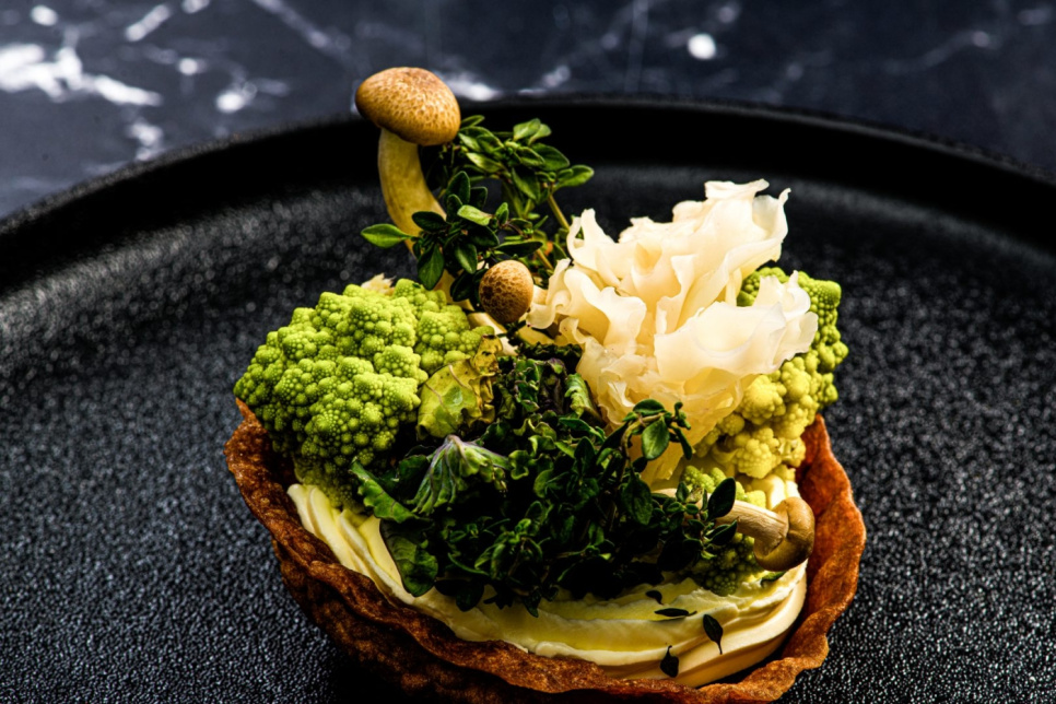 Rautatorttu, kahden kappaleen setti (ilman kahvaa) - Plate-it