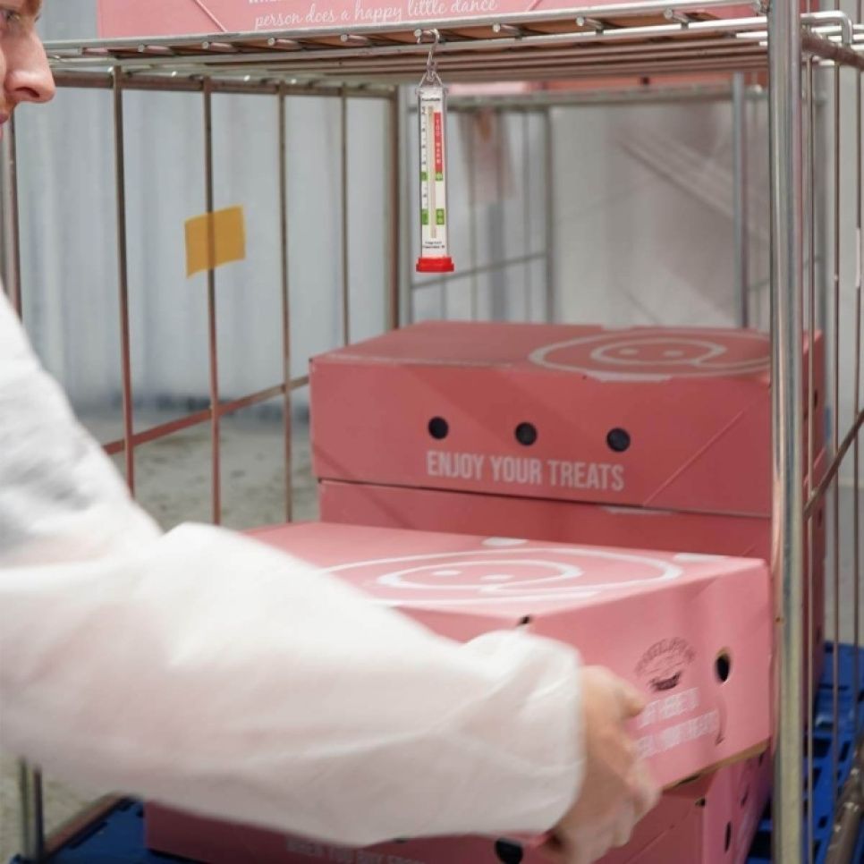 Jääkaappien ja pakastimien lämpömittarit - ETI