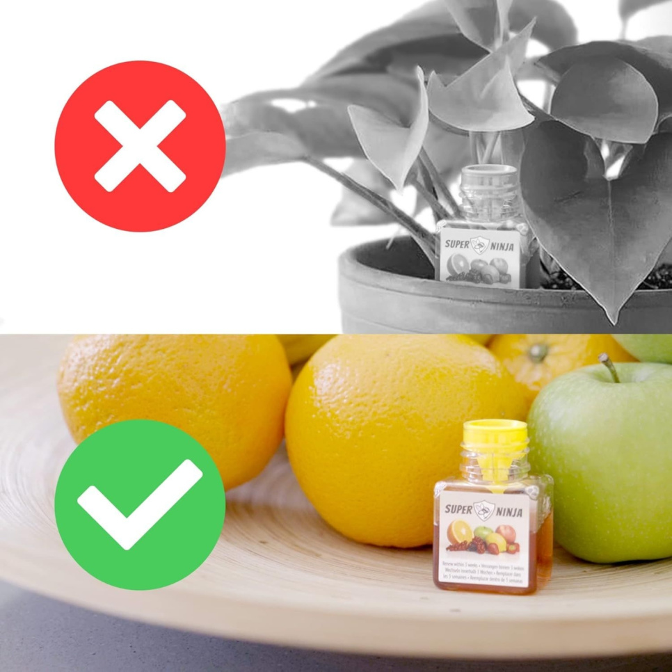 Hedelmäkärpäsloukku - Super Ninja