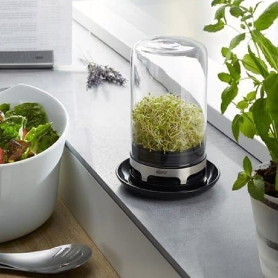 Idätyspurkki - Gefu