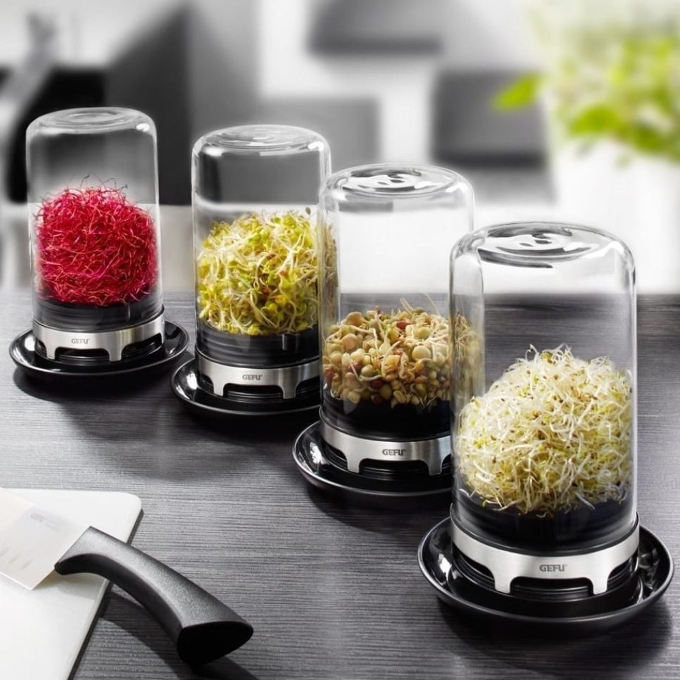 Idätyspurkki - Gefu