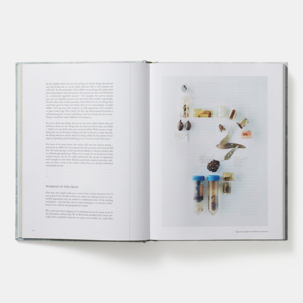 On Eating Insects - Essays, Stories and Recipes