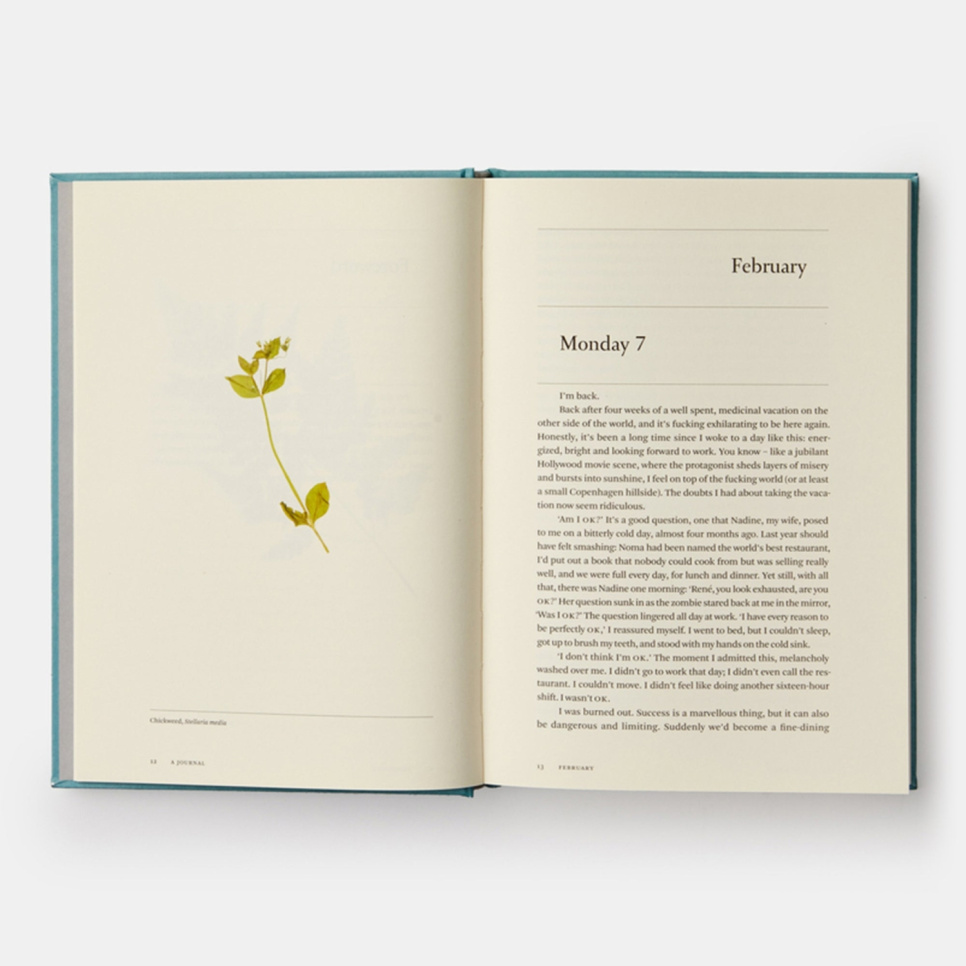 A Work in Progress: A Journal - Rene Redzepi