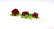 Gellaanikumi tyyppi F (E418) - The Kitchen Lab Gellaanikumi tyyppi F (E418) - The Kitchen Lab