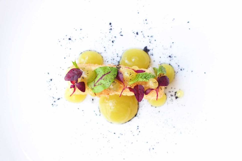 Sitruunahappo (E330) - The Kitchen Lab