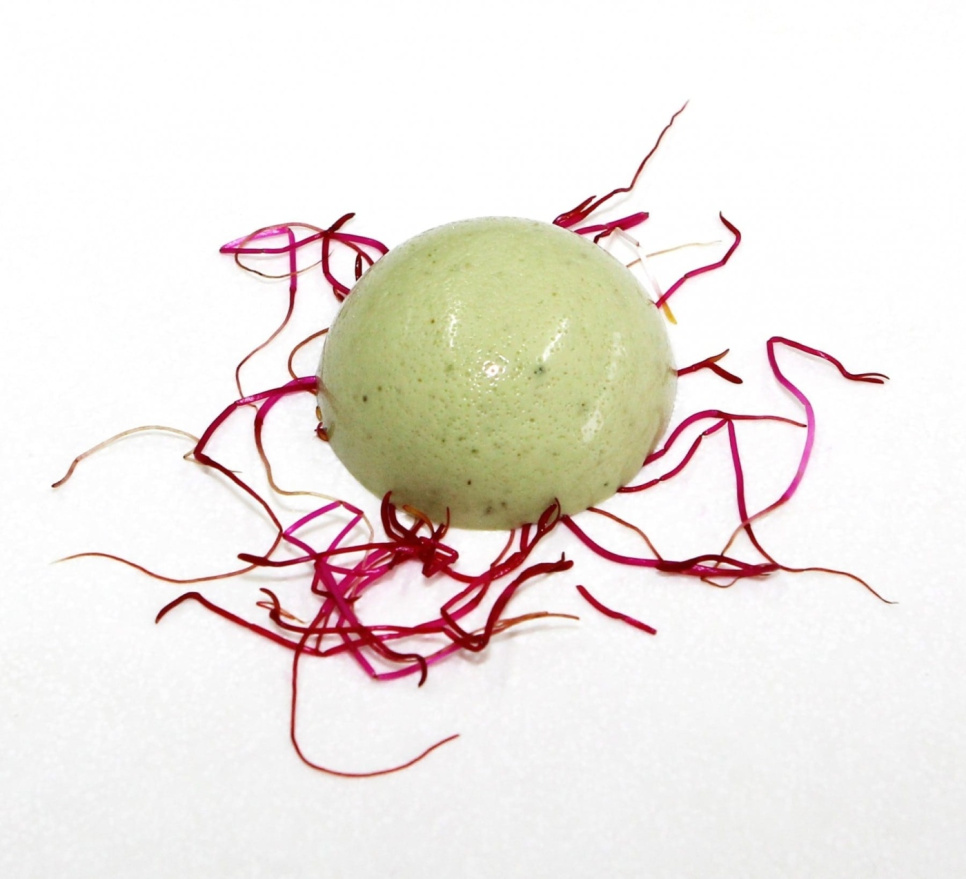 Nykyaikaiset hyytelöimisaineet, ainesosapakkaus - The Kitchen Lab Nykyaikaiset hyytelöimisaineet, ainesosapakkaus - The Kitchen Lab