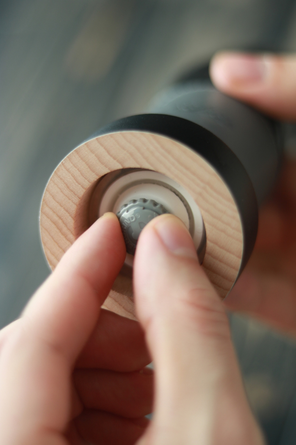 Suolamylly, Kohorn - Forge de Laguiole