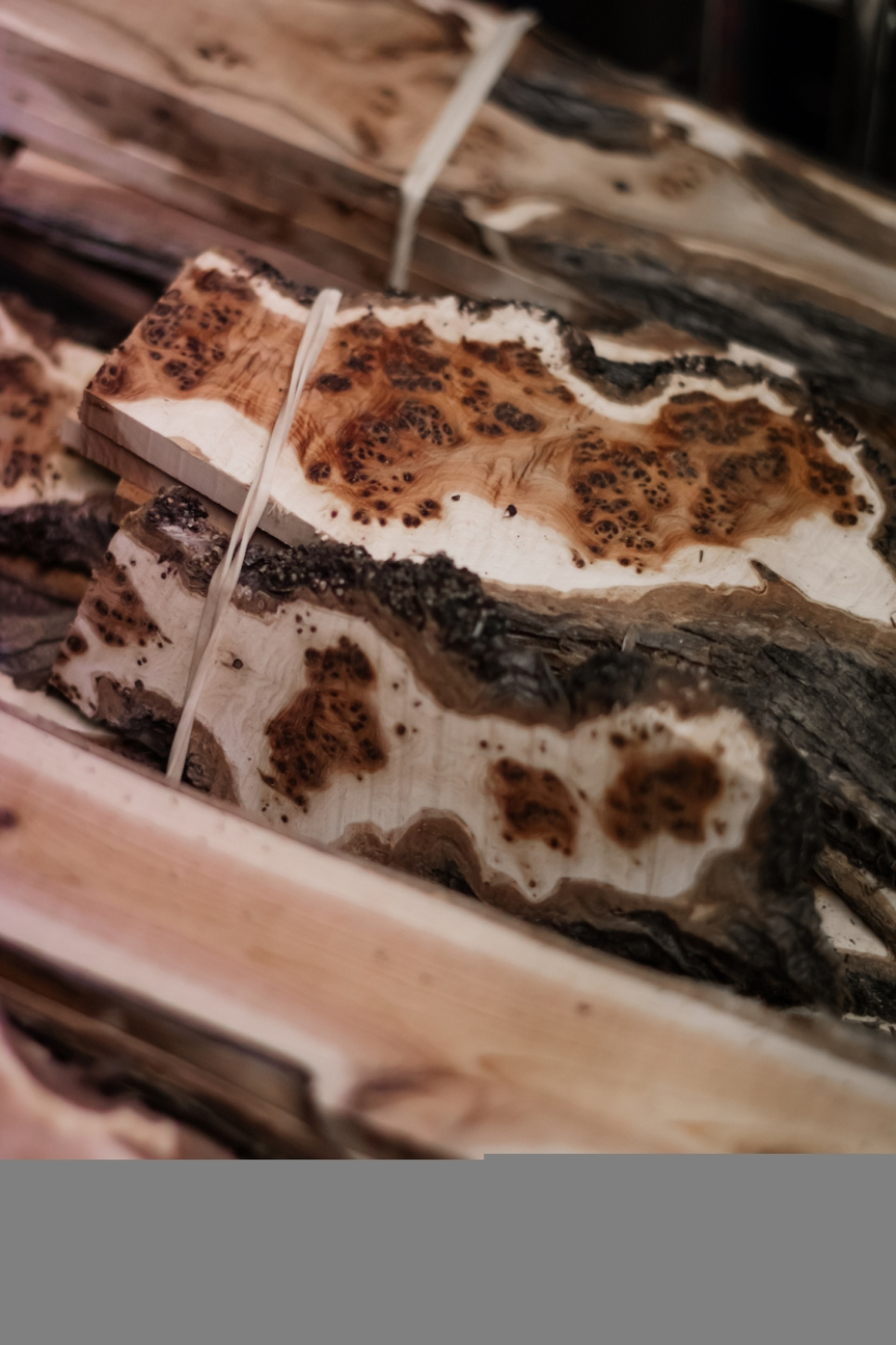 Puinen sommelier veitsi Vines, damassiinoitu koristeella, Collection - Forge de Laguiole