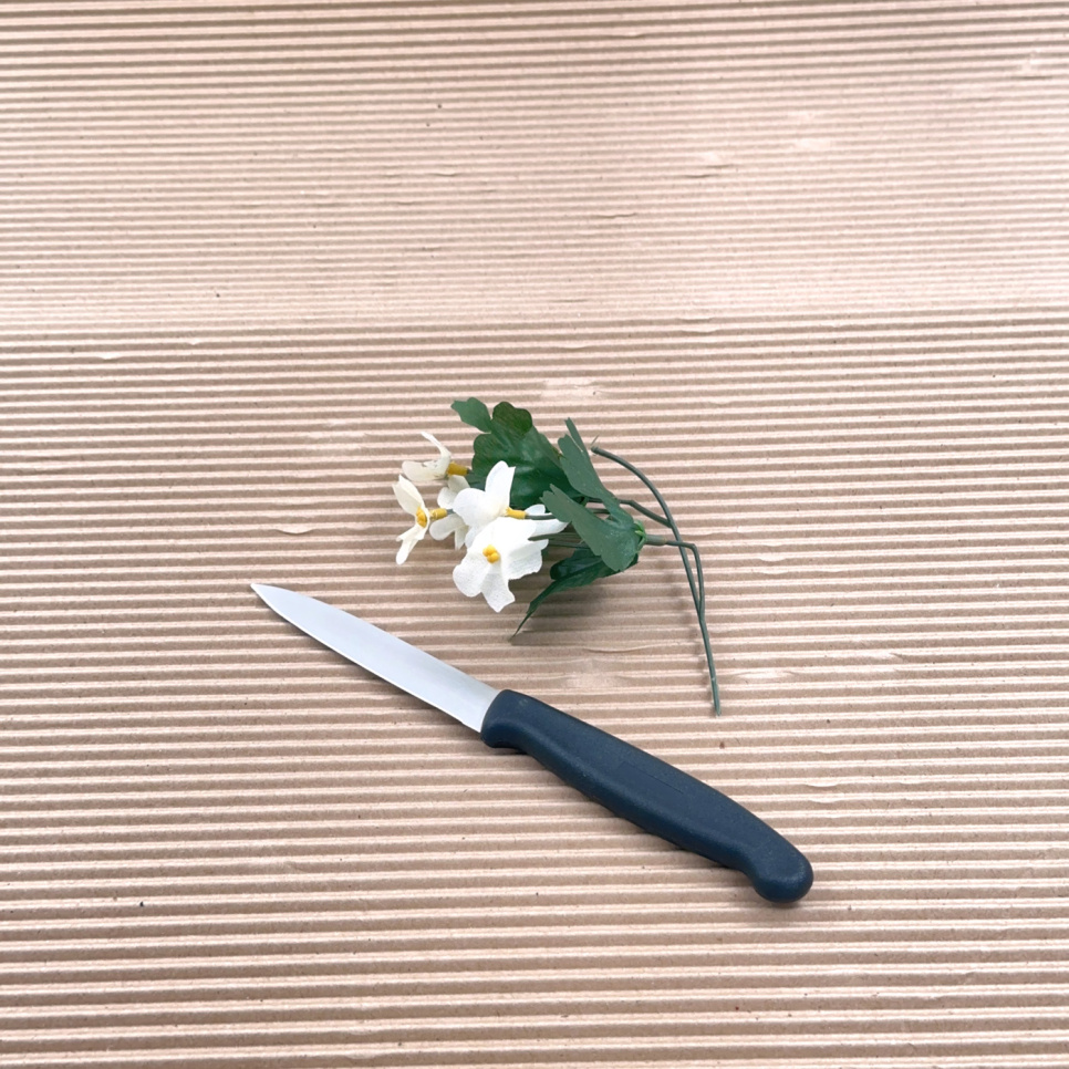 Klassinen pieni kuorintaveitsi mustalla muovikahvalla, 10cm - The Kitchen Lab