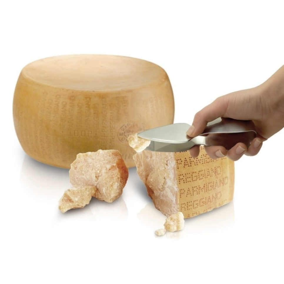 Parmesanveitsi/-pihdit - I GENIETTI