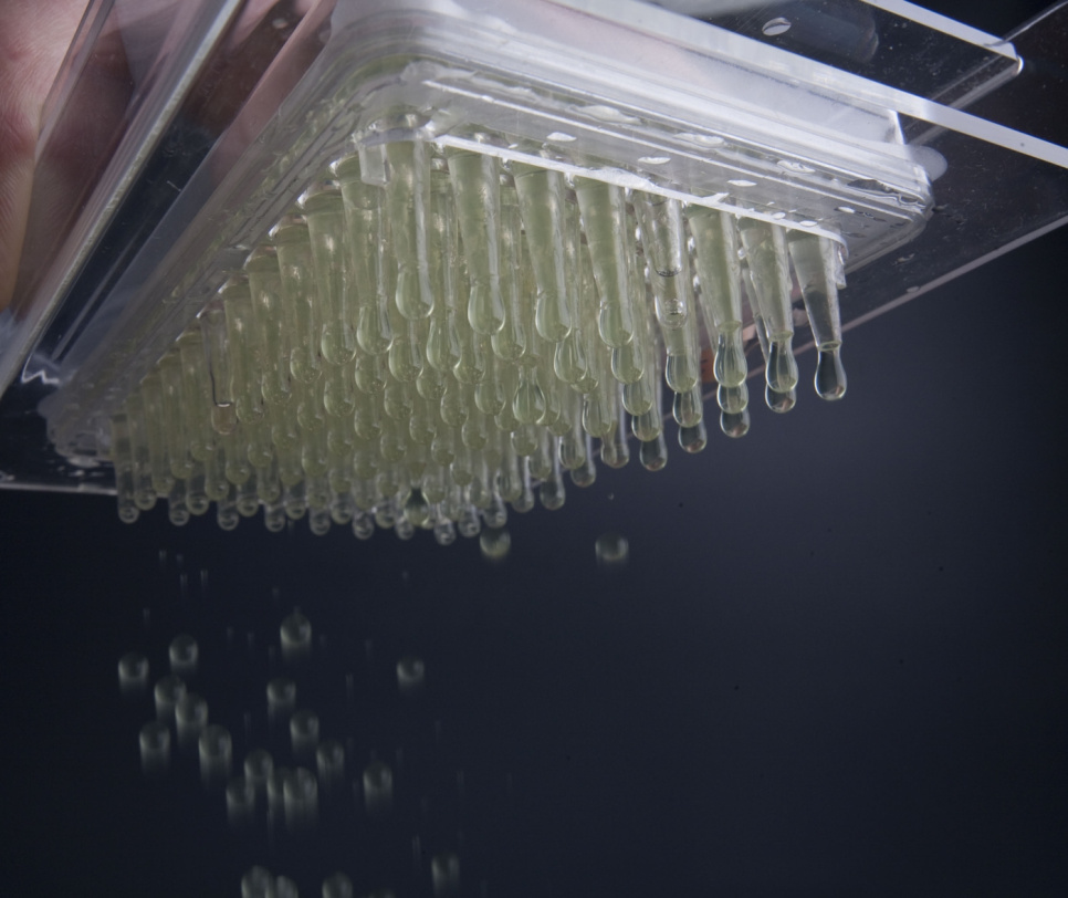 Kaviaarilaatikko molekyyligastronomiaan - 100% Chef Kaviaarilaatikko molekyyligastronomiaan - 100% Chef