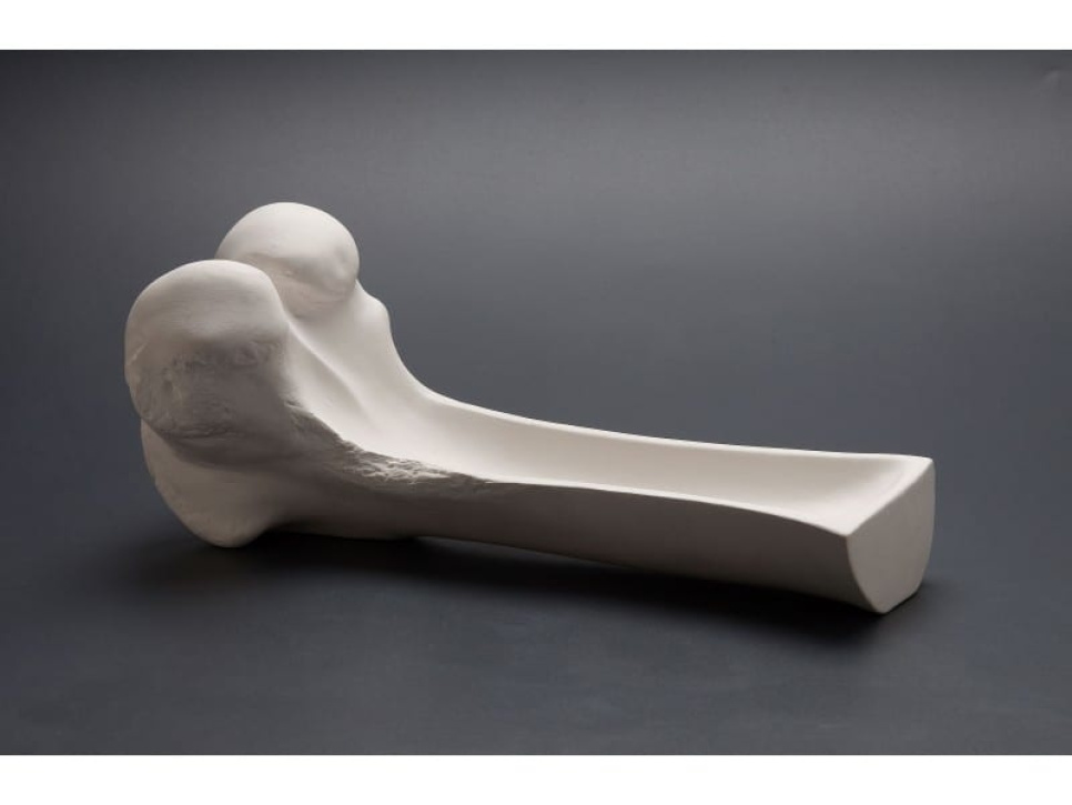 Sääriluu posliinia - 100% Chef