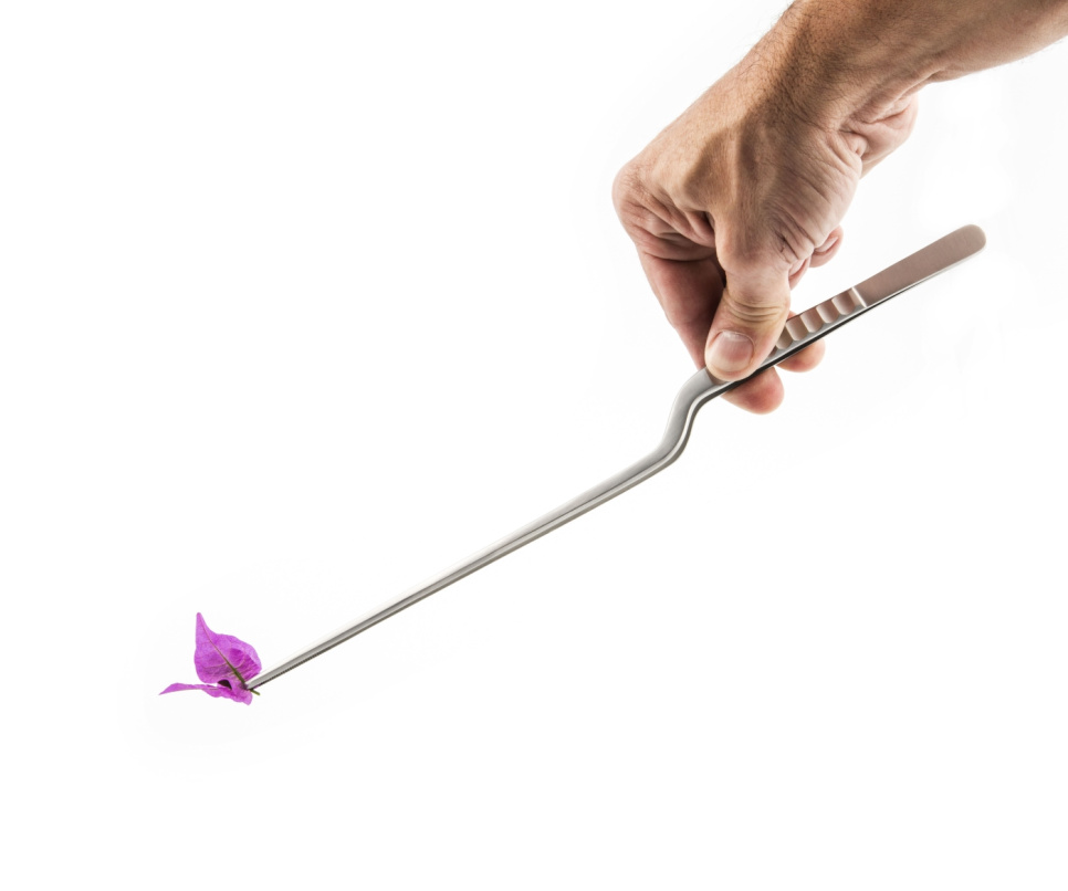 Sushipihdit / pihdit, 30 cm - 100% Chef