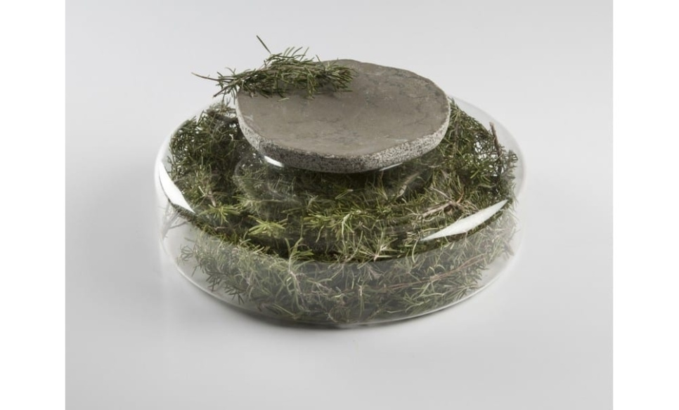 Advance Scene, tarjoilulautanen borosilikaattilasista - 100 % Chef