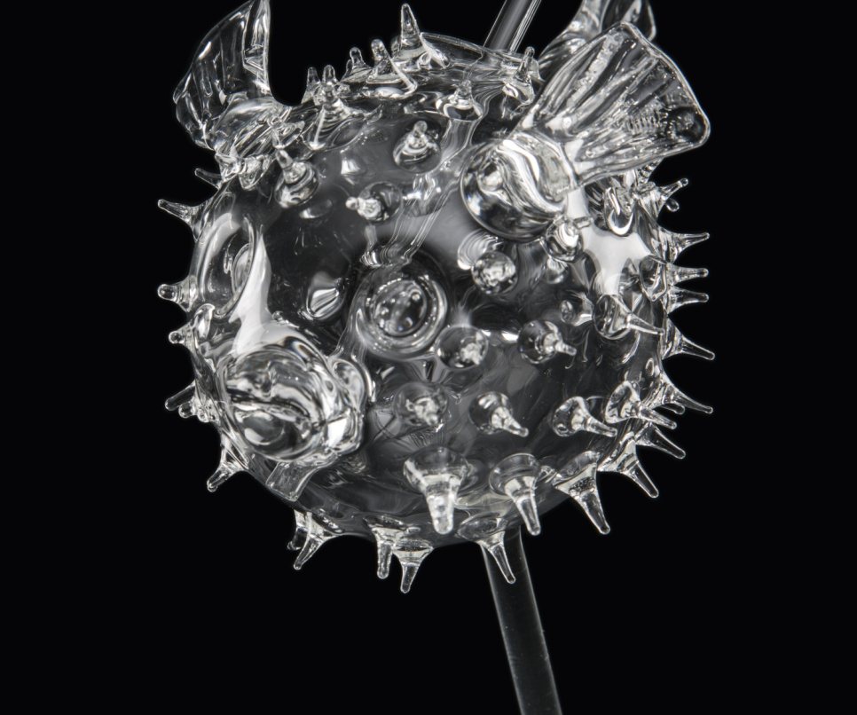 Cocktaillasi, Fugu - 100% Chef