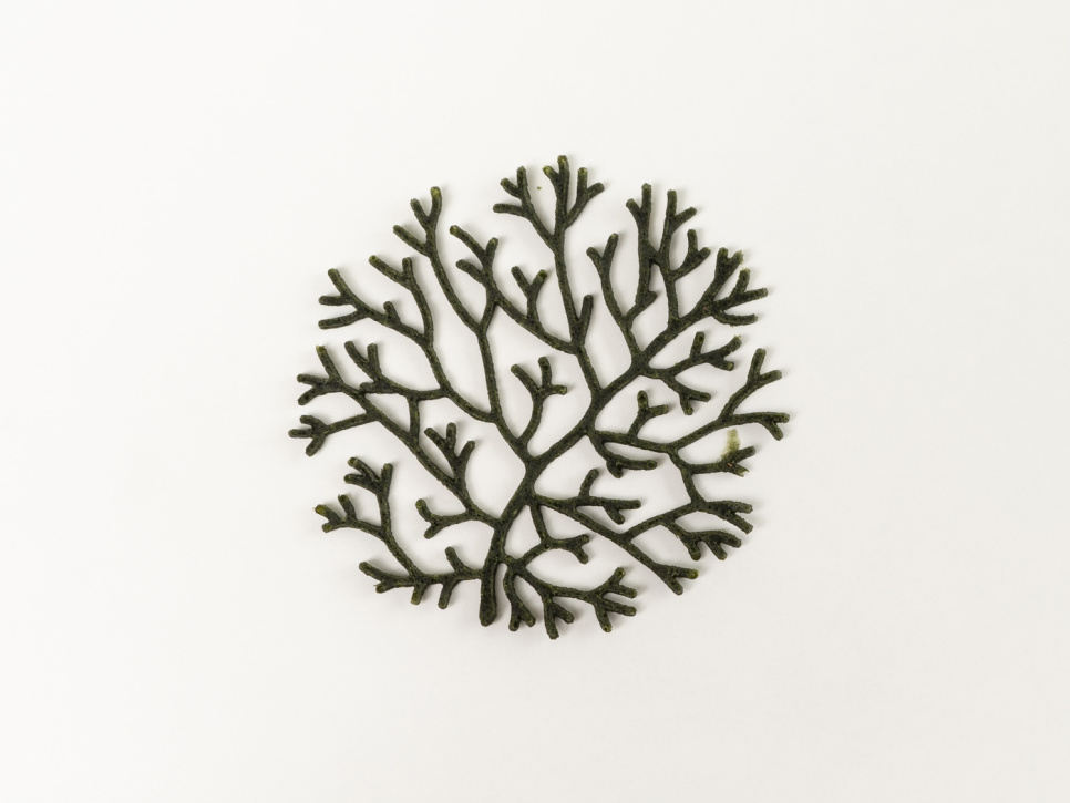 Silikonimuotti Tuille, Alg - 100% Chef Silikonimuotti Tuille, Alg - 100% Chef