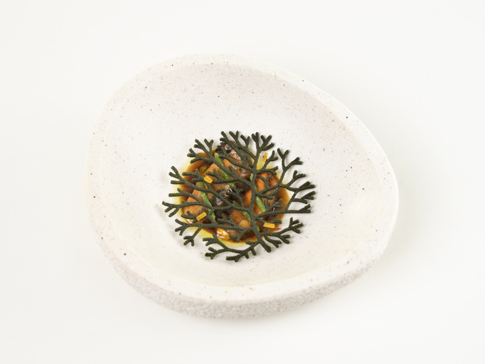 Silikonimuotti Tuille, Alg - 100% Chef Silikonimuotti Tuille, Alg - 100% Chef