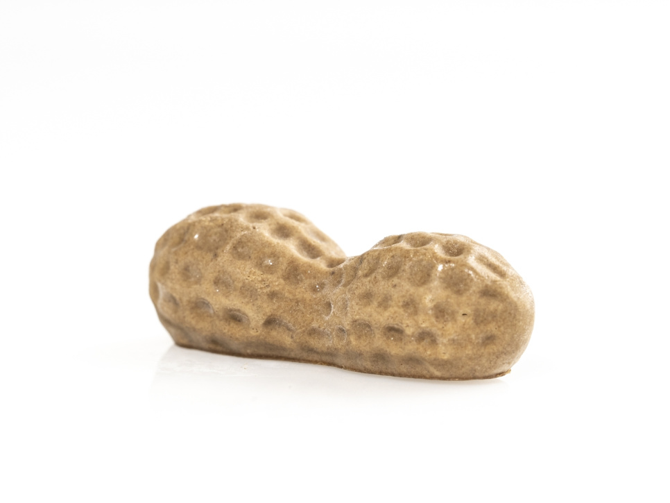 Silikonimuotti koristeluun, maapähkinä - 100% Chef