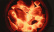 Grillkul, Onyx Binchotan, 9,07 kg - Jealous Devil Grillkul, Onyx Binchotan, 9,07 kg - Jealous Devil