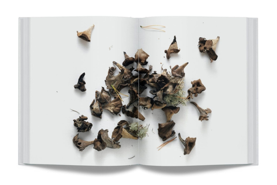 Året På Gastrologik av Jacob Holmström och Anton Bjuhr Året På Gastrologik av Jacob Holmström och Anton Bjuhr