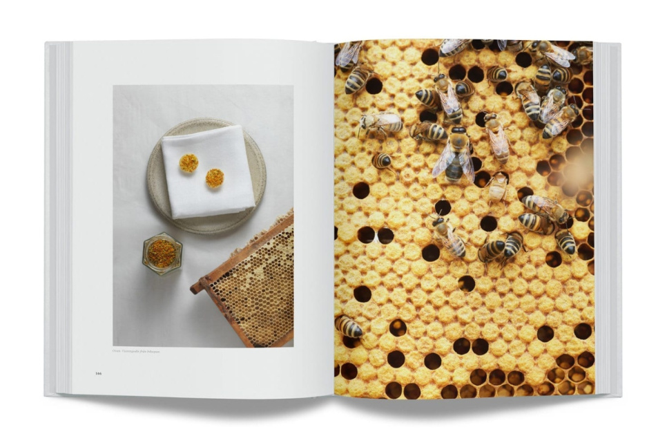 Året På Gastrologik av Jacob Holmström och Anton Bjuhr Året På Gastrologik av Jacob Holmström och Anton Bjuhr