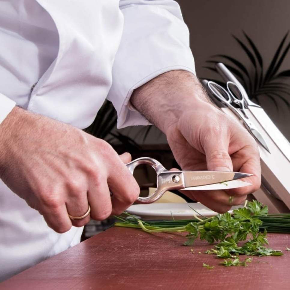 Monitoimisakset ruostumattomasta teräksestä - 3 Claveles Monitoimisakset ruostumattomasta teräksestä - 3 Claveles