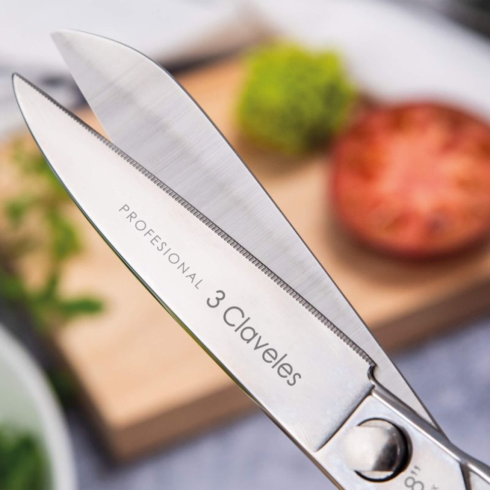 Ruostumattomasta teräksestä valmistetut keittiösakset, Professional - 3 Claveles - 20 cm