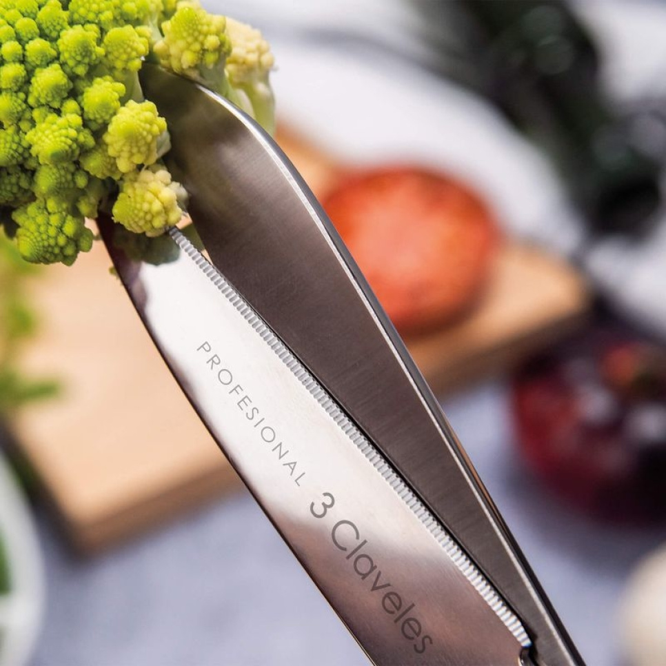 Ruostumattomasta teräksestä valmistetut keittiösakset, Professional - 3 Claveles - 20 cm