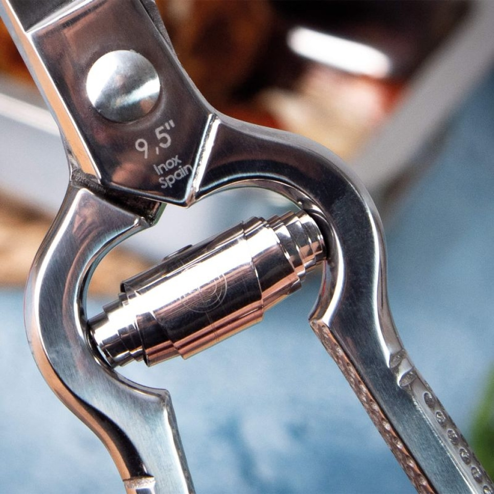 Ammattimaiset siipikarjasakset jousella - 3 Claveles