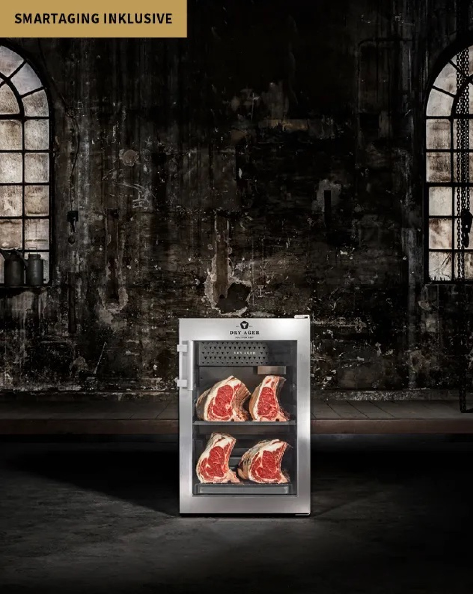 Kylmiö raakakypsytykseen, DX 500 - Dry Ager