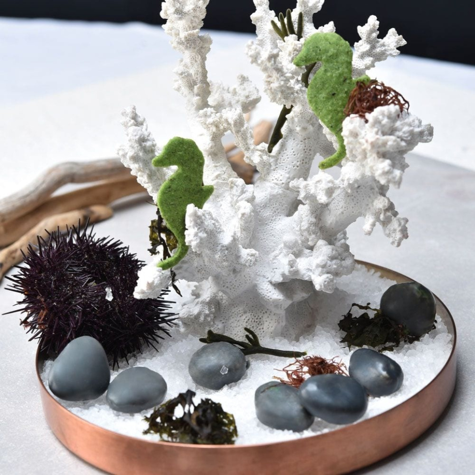 Silikonimuotti, Stone, Gourmand – Pavoni Silikonimuotti, Stone, Gourmand – Pavoni