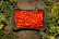 San Marzano tomaatit DOP, 2560g - Casa Marrazzo San Marzano tomaatit DOP, 2560g - Casa Marrazzo