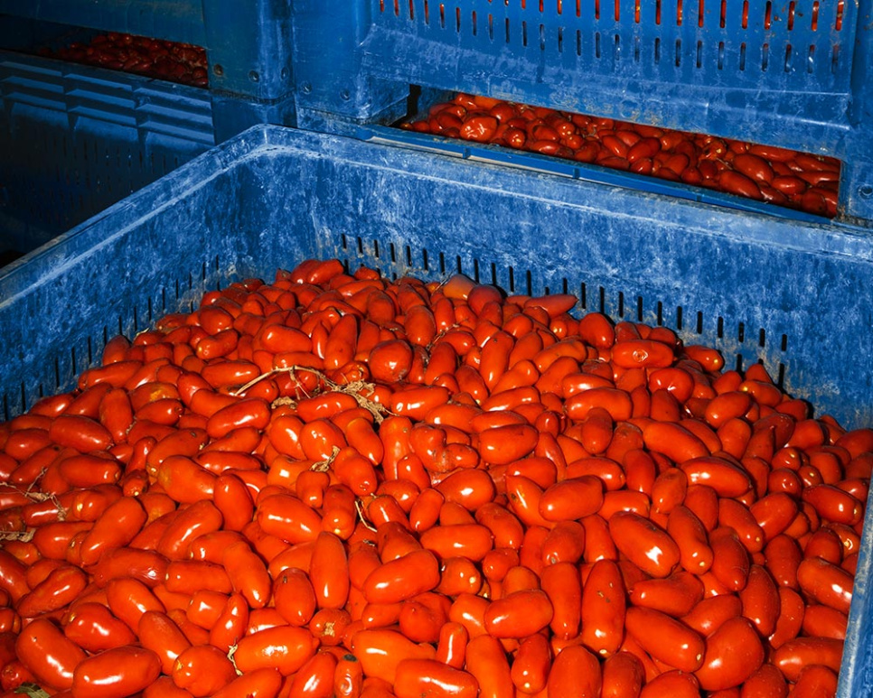 San Marzano tomaatit DOP, 2560g - Casa Marrazzo San Marzano tomaatit DOP, 2560g - Casa Marrazzo