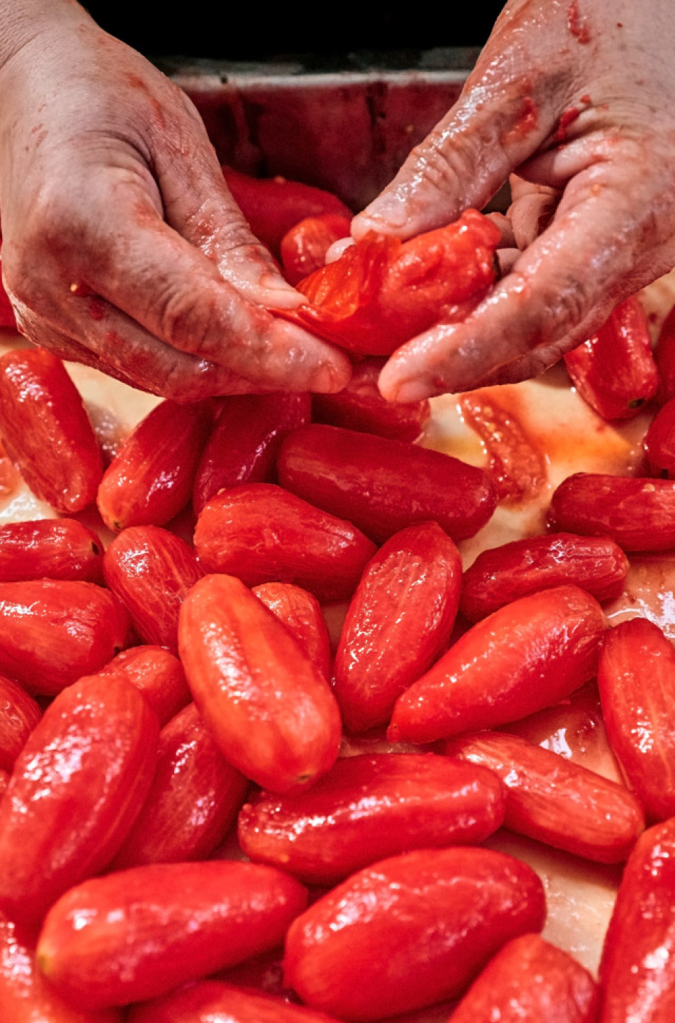 San Marzano tomaatit DOP, 2560g - Casa Marrazzo San Marzano tomaatit DOP, 2560g - Casa Marrazzo