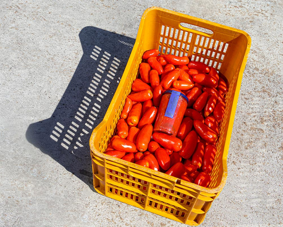San Marzano tomaatit DOP, 2560g - Casa Marrazzo San Marzano tomaatit DOP, 2560g - Casa Marrazzo