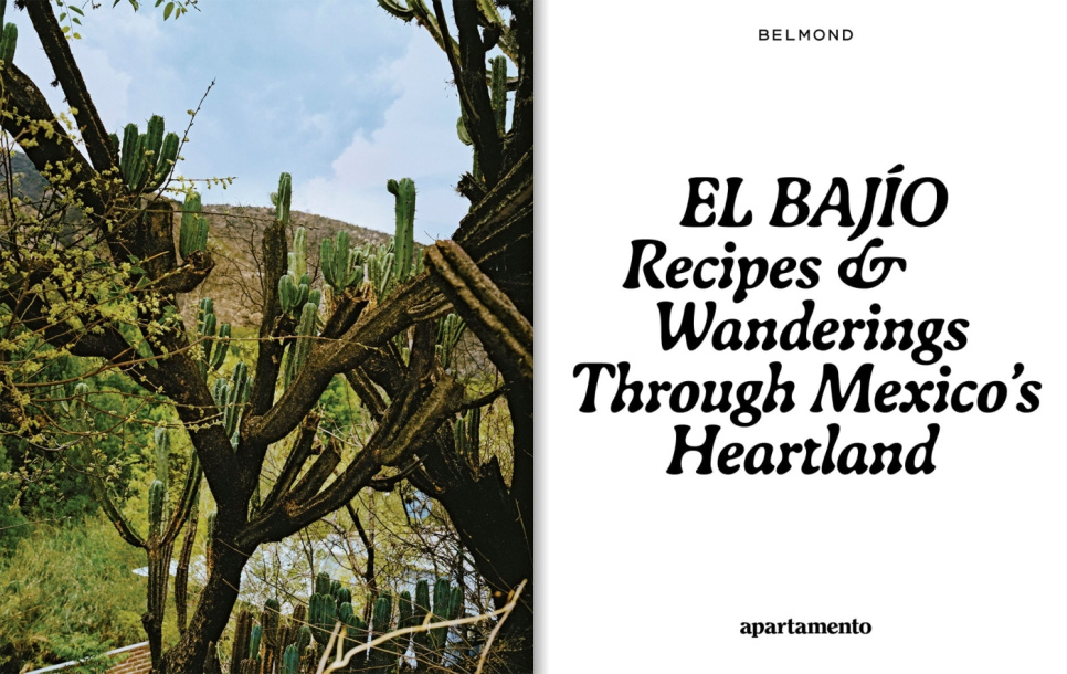 El Bajio: Recepies and wandering