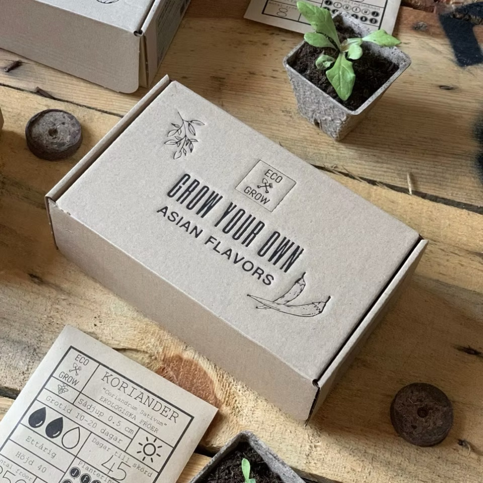 Kasvatuspakkaus, Aasian makuja (4 kpl) - Eco Grow