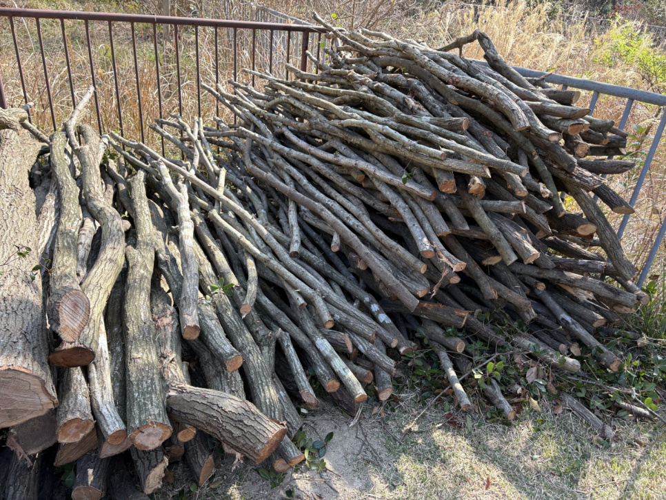 Puuhiili, Ubamegashi-tammen Kishu-Binchotan, noin 1 kg - Kisyu Sumikobo