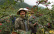 Sichuanpippuri, QingXi, 15 g - The Pepper Quest