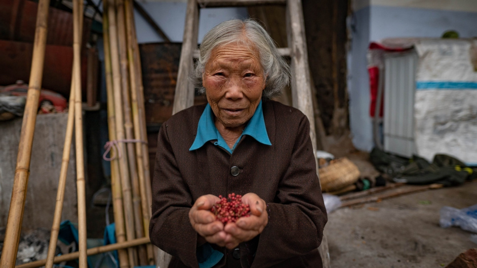Sichuanpippuri, QingXi, 15 g - The Pepper Quest