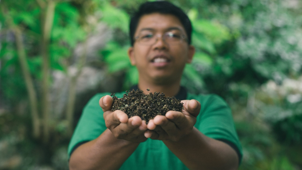 Pippuri, Andaliman, Batak, 15 g - The Pepper Quest