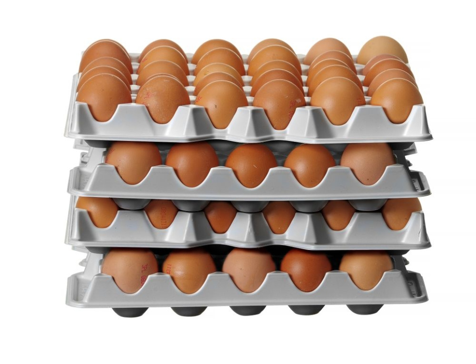 Muovinen munakennosto, 4 kpl - Hendi