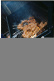 Grillitikut 4 kpl, SKW20 - Veark